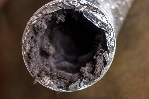 Best Affordable HVAC Duct Cleaning  in Wonder Lake, IL